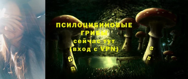 молекула духа Балахна