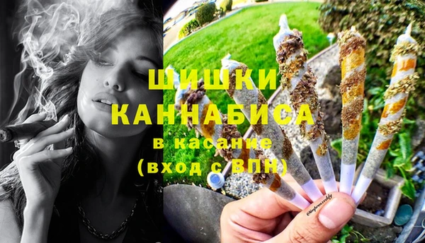 прущие крисы Белоозёрский