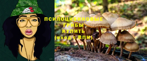 a pvp Аша